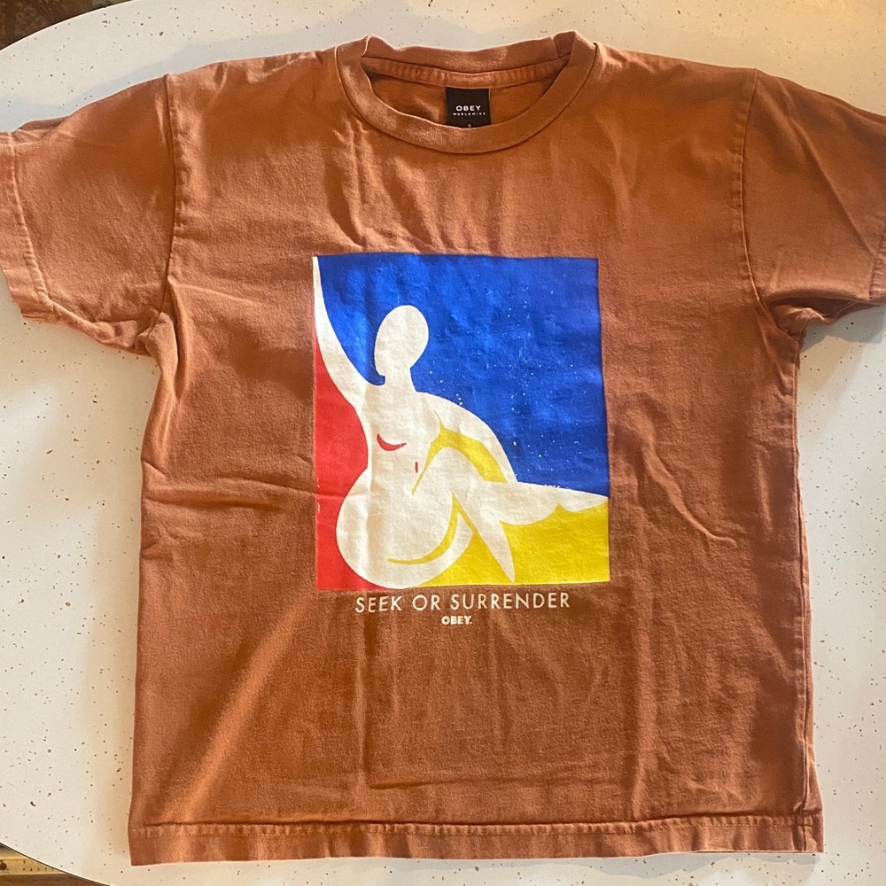 OBEY Burnt Orange “Seek or Surrender” Graphic Tee